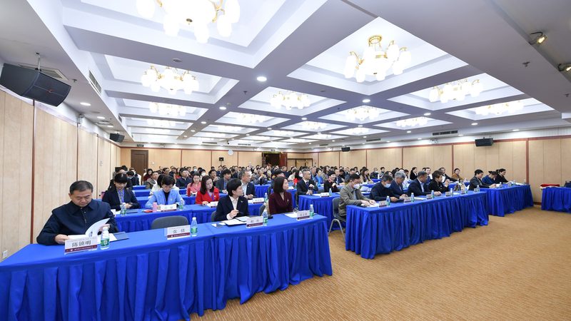 零基础学会计先学基础还是实操